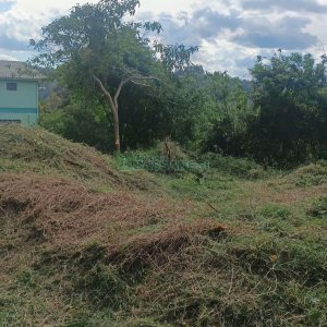 Terreno, no bairro Nossa Senhora das Graças em Caxias do Sul para Comprar