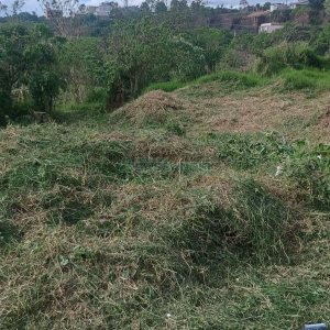 Terreno, no bairro Nossa Senhora das Graças em Caxias do Sul para Comprar