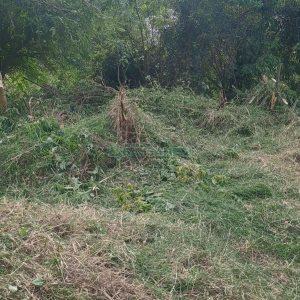 Terreno, no bairro Nossa Senhora das Graças em Caxias do Sul para Comprar