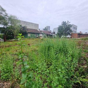 Terreno com 360m², no bairro Centro em Caxias do Sul para Alugar