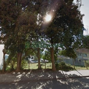 Terreno com 1560m², no bairro Cruzeiro em Caxias do Sul para Alugar