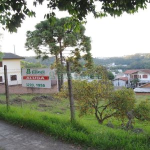 Terreno com 1560m², no bairro Cruzeiro em Caxias do Sul para Alugar