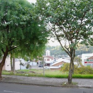 Terreno com 1560m², no bairro Cruzeiro em Caxias do Sul para Alugar