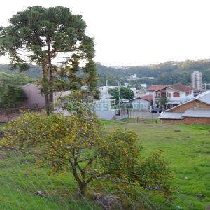 Terreno com 1560m², no bairro Cruzeiro em Caxias do Sul para Alugar