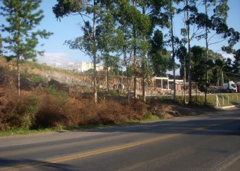 Terreno com 7000m², no bairro Sao Giacomo em Caxias do Sul para Alugar