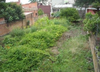 Terreno com 390m², no bairro Pio X em Caxias do Sul para Alugar