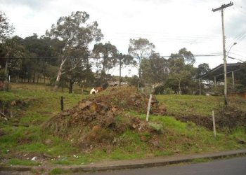 Terreno com 4000m², no bairro São Cristóvão em Caxias do Sul para Alugar