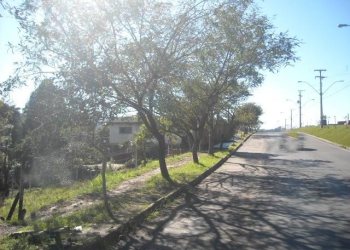 Terreno, no bairro Kayser em Caxias do Sul para Comprar