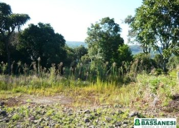 Chácara, no bairro Linha 40 em Caxias do Sul para Comprar