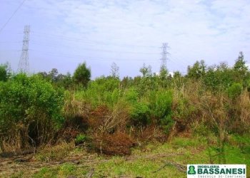 Terreno, no bairro Moinhos de Vento em Caxias do Sul para Comprar