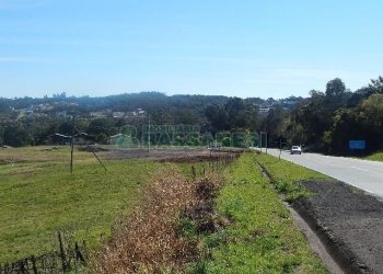 Terreno com 24000m², no bairro Pedancino em Caxias do Sul para Alugar