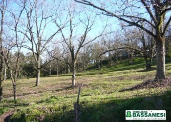Terreno com 360m², no bairro São Caetano em Caxias do Sul para Comprar