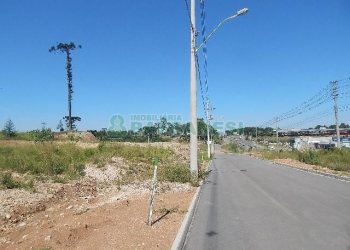 Terreno com 5574m², no bairro Sanvitto em Caxias do Sul para Alugar