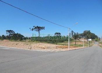 Terreno com 4810m², no bairro Sanvitto em Caxias do Sul para Alugar