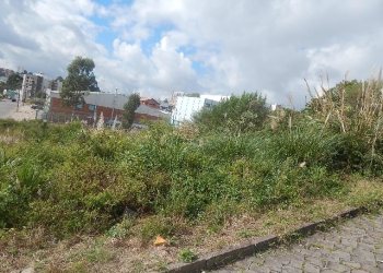 Terreno com 720m², no bairro Sanvitto em Caxias do Sul para Alugar