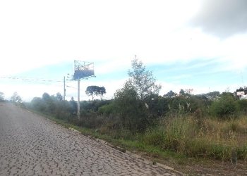 Terreno com 30800m², no bairro Linha Julieta em Farroupilha para Alugar