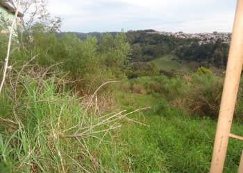 Terreno, no bairro São Victor Cohab em Caxias do Sul para Comprar