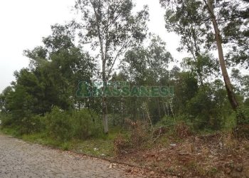 Terreno com 14700m², no bairro Forqueta em Caxias do Sul para Alugar