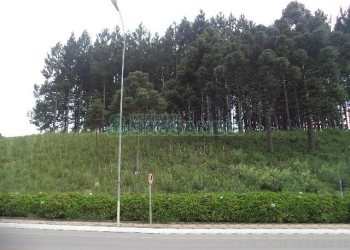 Terreno com 1500m², no bairro Centro em Flores da Cunha para Alugar
