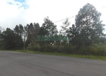 Terreno com 2250m², no bairro Desvio Rizzo em Caxias do Sul para Alugar