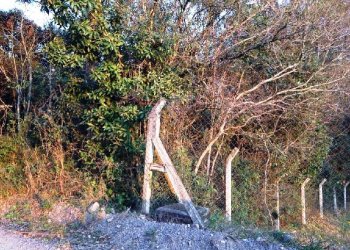 Terreno, no bairro Pedancino em Caxias do Sul para Comprar