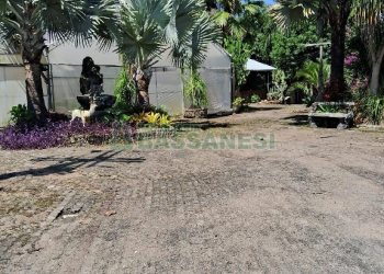 Terreno com 1950m², no bairro Vila Cristina em Caxias do Sul para Alugar