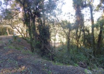 Terreno, no bairro Ana Rech em Caxias do Sul para Comprar