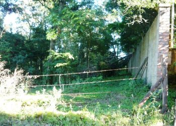 Chácara, no bairro Centro em Caxias do Sul para Comprar