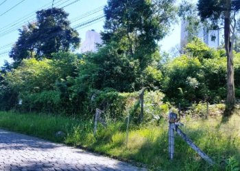 Terreno, no bairro Vila Verde em Caxias do Sul para Comprar