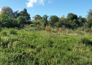 Terreno, no bairro Charqueadas em Caxias do Sul para Comprar