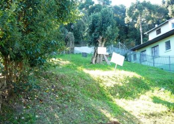 Terreno com 1460m², no bairro Petrópolis em Caxias do Sul para Comprar