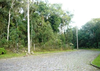 Terreno, no bairro Ana Rech em Caxias do Sul para Comprar