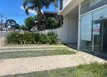 Loja com 211m², no bairro Santa Catarina em Caxias do Sul para Alugar