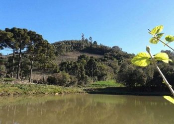 Chácara, no bairro Forqueta em Caxias do Sul para Comprar