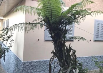 Casa com 160m², 3 dormitórios, no bairro Rio Branco em Caxias do Sul para Comprar