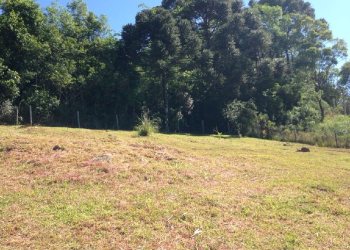 Terreno, no bairro Monte Bérico em Caxias do Sul para Comprar