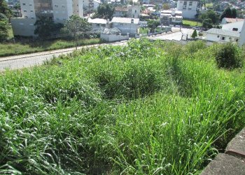 Terreno com 2520m², no bairro Cinqüentenário em Caxias do Sul para Alugar