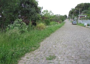 Terreno, no bairro Salgado Filho em Caxias do Sul para Comprar