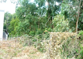 Terreno, no bairro Sanvitto em Caxias do Sul para Comprar