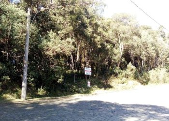 Terreno, no bairro Centro em Caxias do Sul para Comprar