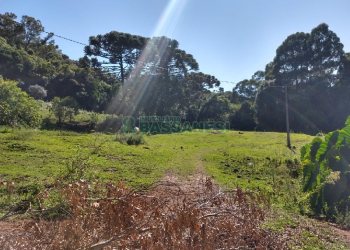 Terreno com 22554m², no bairro Pioneiro em Caxias do Sul para Comprar