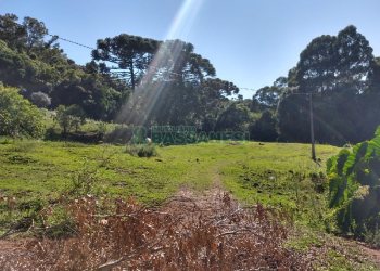 Terreno, no bairro Pioneiro em Caxias do Sul para Comprar