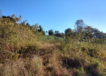Terreno com 9483m², no bairro São Caetano em Caxias do Sul para Comprar
