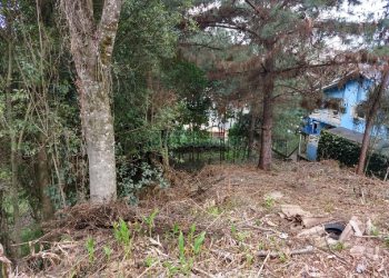 Terreno com 681m², no bairro Petrópolis em Caxias do Sul para Comprar