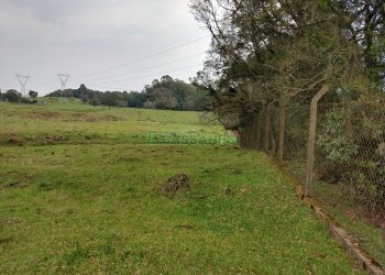 Chácara, no bairro Monte Bérico em Caxias do Sul para Comprar