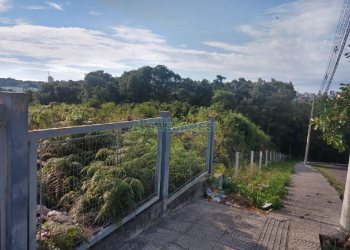 Terreno com 6021m², no bairro Santa Catarina em Caxias do Sul para Comprar