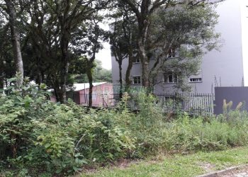 Terreno, no bairro Ana Rech em Caxias do Sul para Comprar