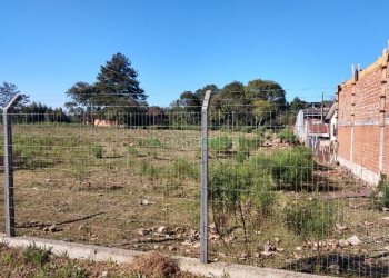 Terreno, no bairro Cidade Nova em Caxias do Sul para Comprar