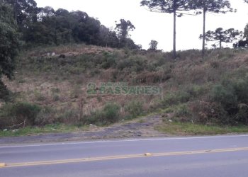Terreno, no bairro Centro em Flores da Cunha para Comprar