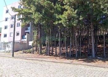 Terreno, no bairro Kayser em Caxias do Sul para Comprar